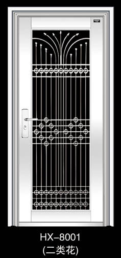 Stainless Steel Door