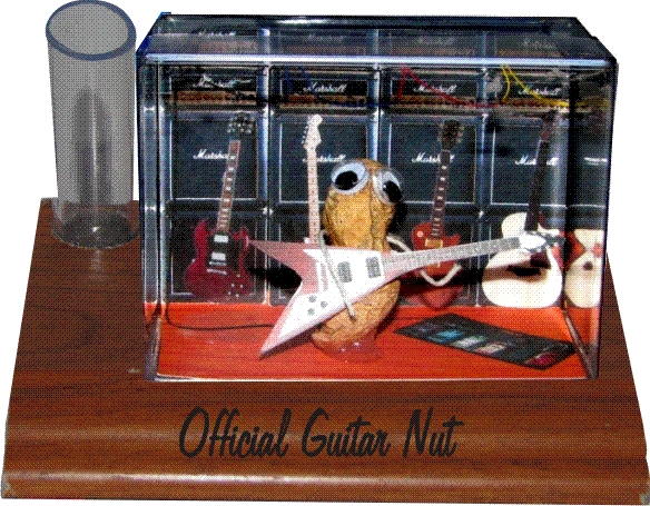 Guitar Nut Desk Pen Holder