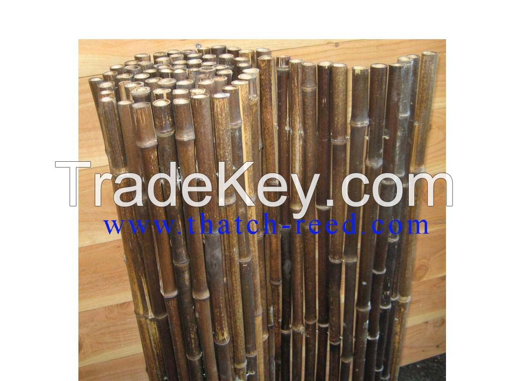 black bamboo fence