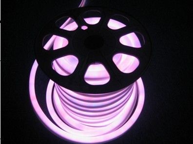 LED Neon Light