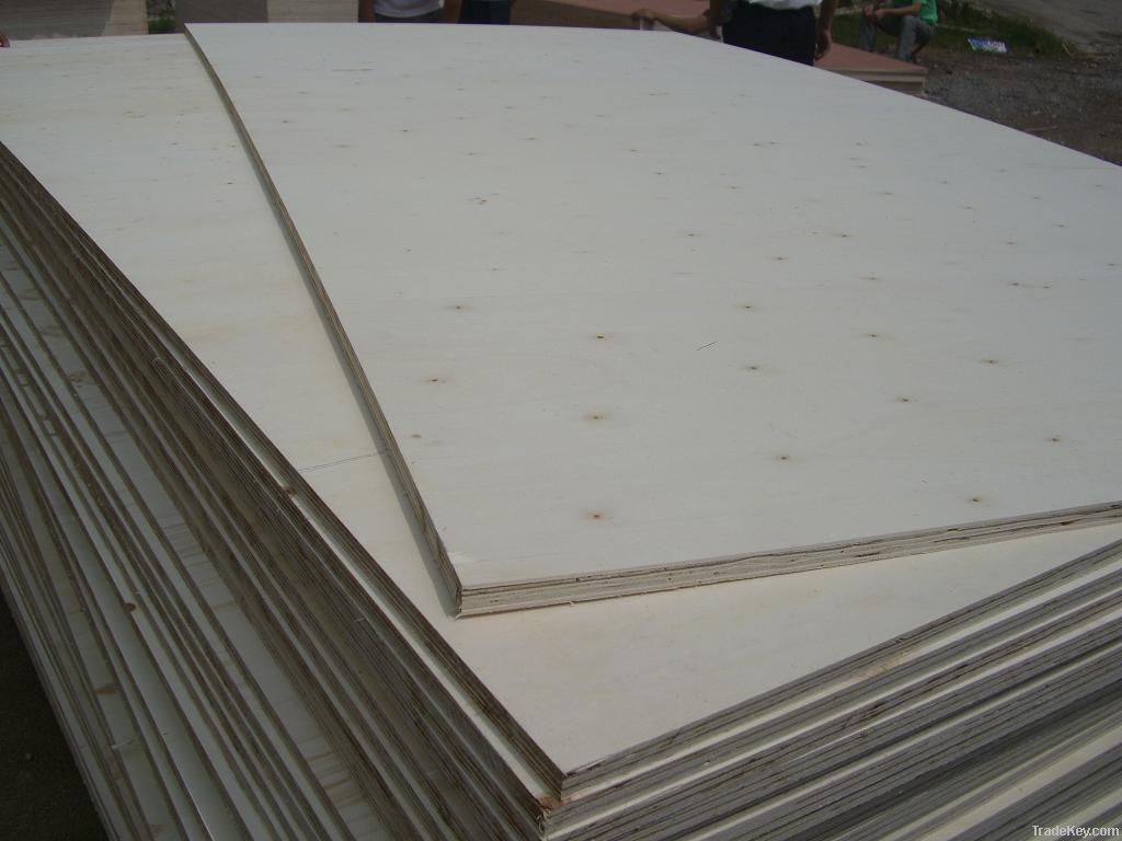 poplar plywood