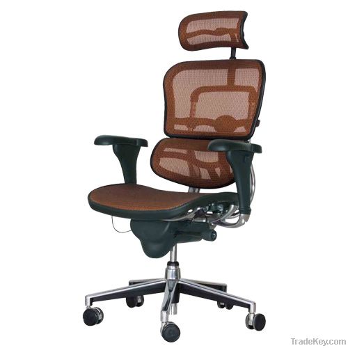 ergohuman chair