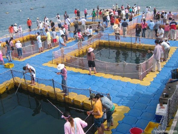 Fish Farm