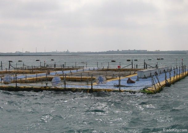 Fish Farming