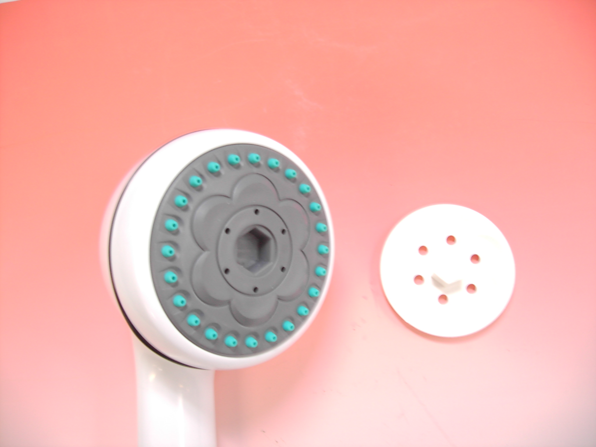 Exfoliating Showerhead