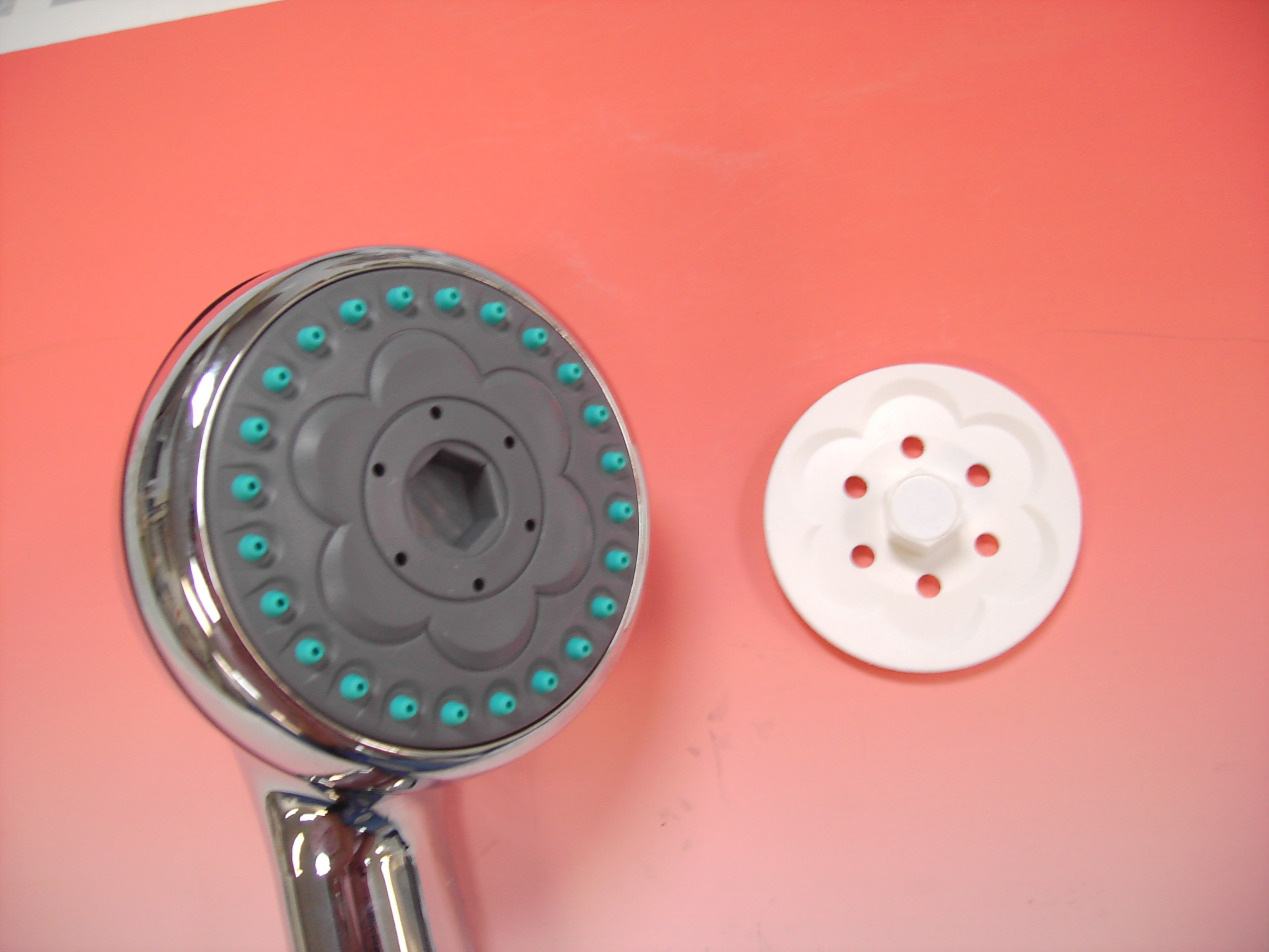 Exfoliating Showerhead