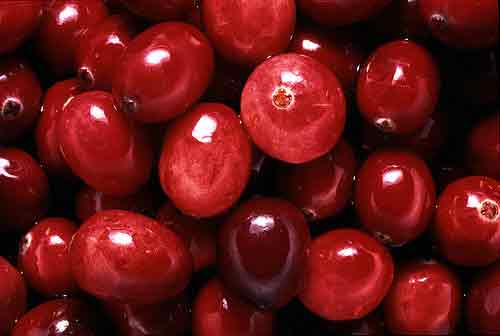 cranberry extract 25% 30% 50% 80% Proanthocyanidins/Anthocyanidins
