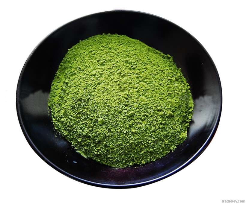 Green Tea Extract