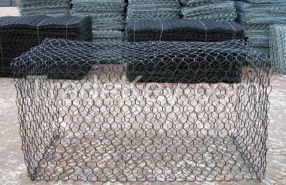 hexagonal mesh cages