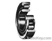 Single-Row Cylindrical Roller Bearings