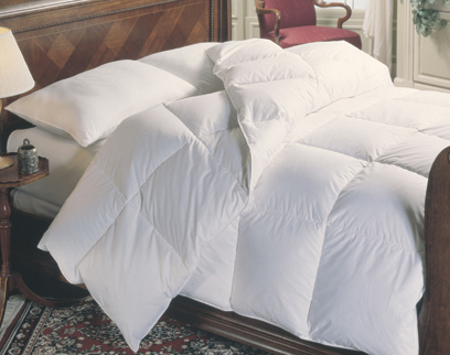 white duck down duvet