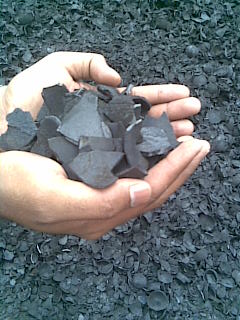 COCONUT SHELL CHAR COAL