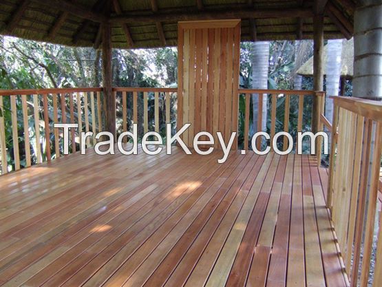 Saligna Decking