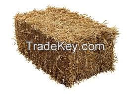 Animal feeding straw, hay straw bale, wheat straw hay, wheat hay bale 