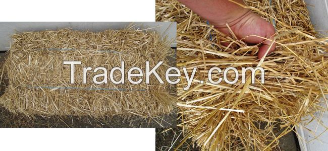 wheat straw hay, wheat straw bale, wheat hay bale, straw bale,animal filler bale,forage