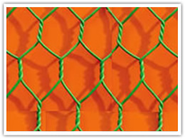 Wire Mesh