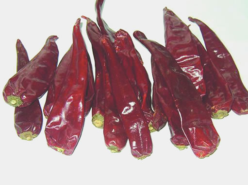 dried chili