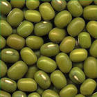 mung beans