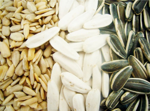 Sunflower seeds &amp; kernels