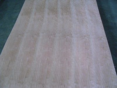 Furniture Grade Plywood