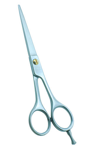 Professioanl Barber Hair Cutting Scissor