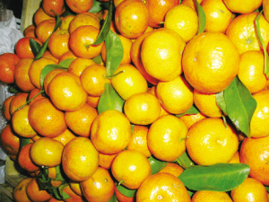 ShaTang orange