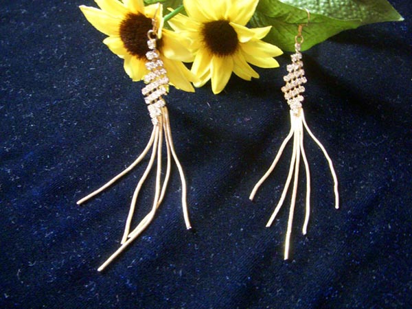 Fashion Earrings