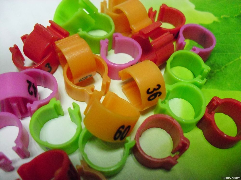 2013 latest new design plastic Ring