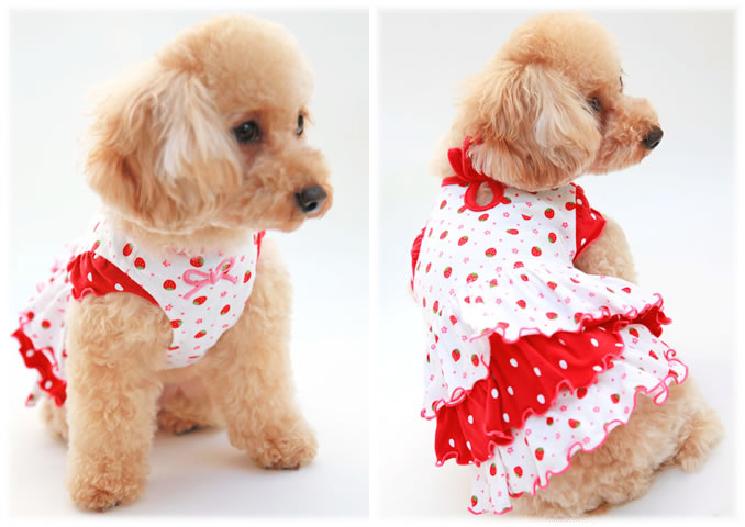 Dog Clothing, Dog Wear, Pet Apperal, Pet Clothes