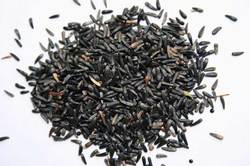 Niger Seed