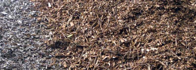 Wood chips