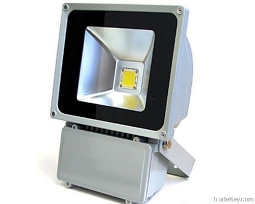 LED Flood Light