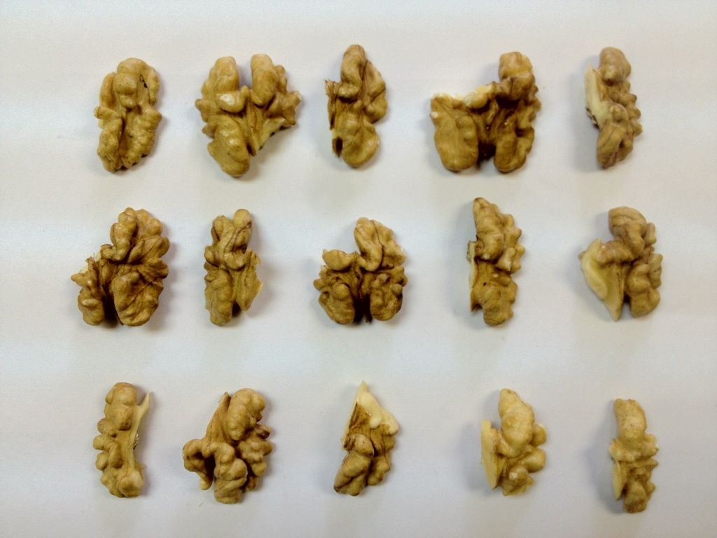 walnuts halves