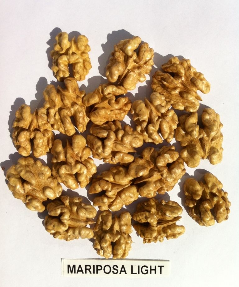 walnuts halves