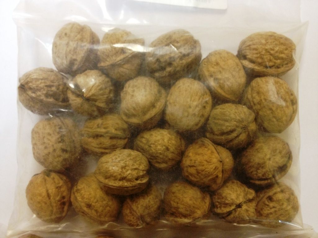 walnuts halves