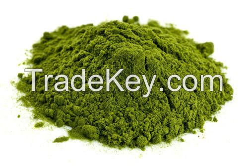 Rhodamine B 540%