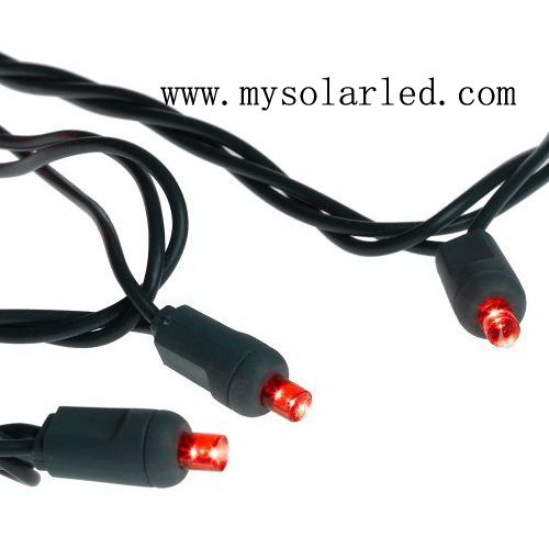 LED Molded String Light 