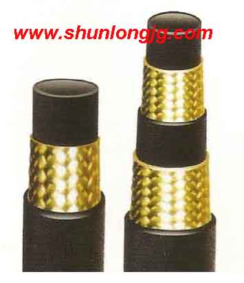 High Pressure Hose R2/2SN