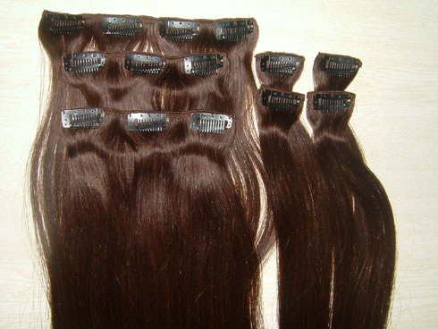 Clip In Hair Extensions