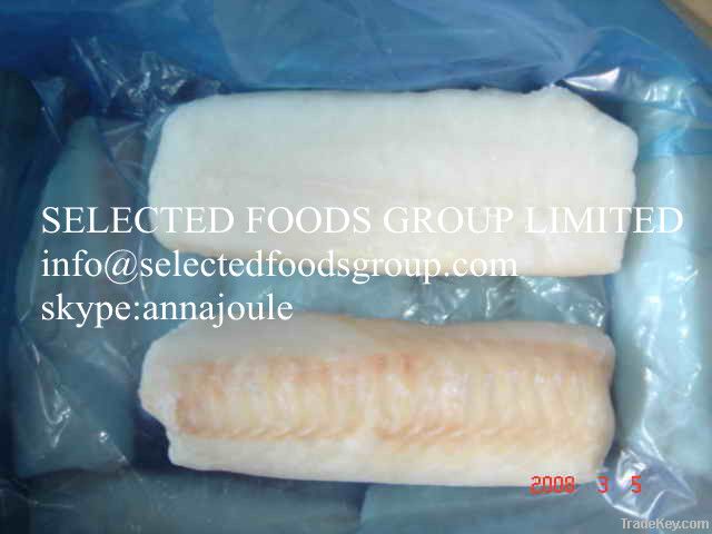 Frozen Cod fillets