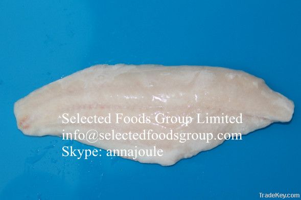 Frozen Channel Catfish Fillet