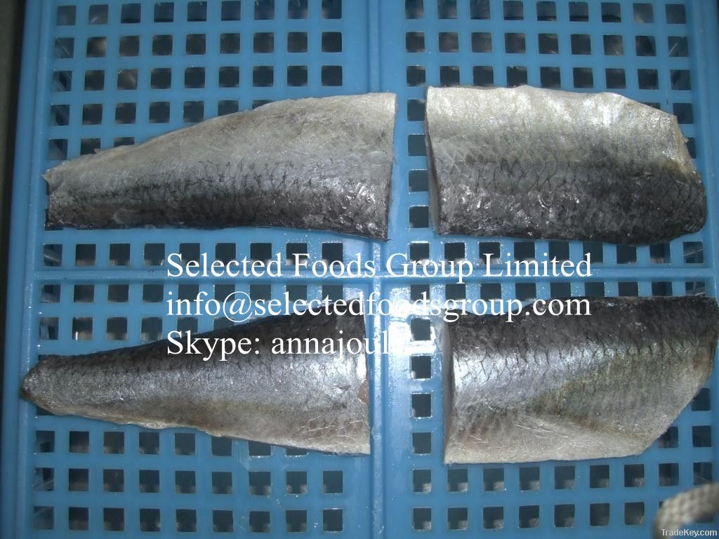 Frozen Herring Fillet