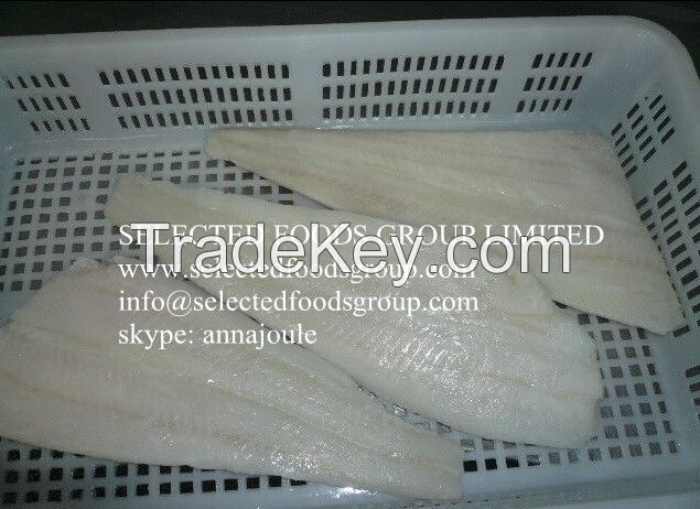 Halibut Fillets