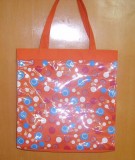 Beach Bag