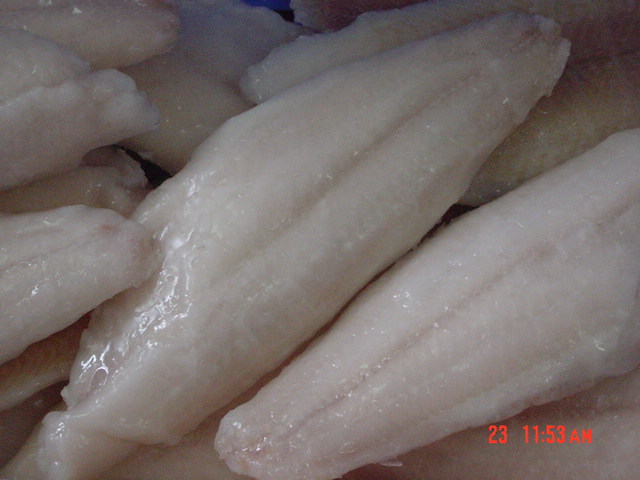 Catfish Fillets