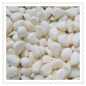 IQF Garlic clove