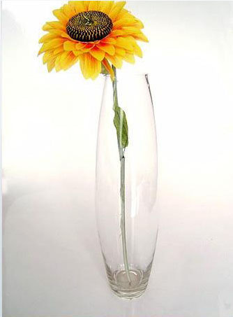 glass vase