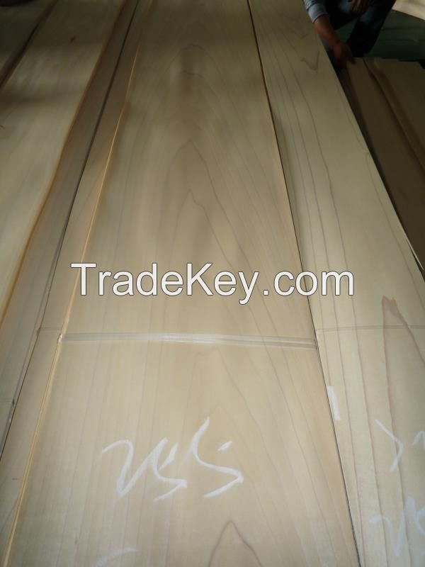 Natural yellow poplar wood veneer