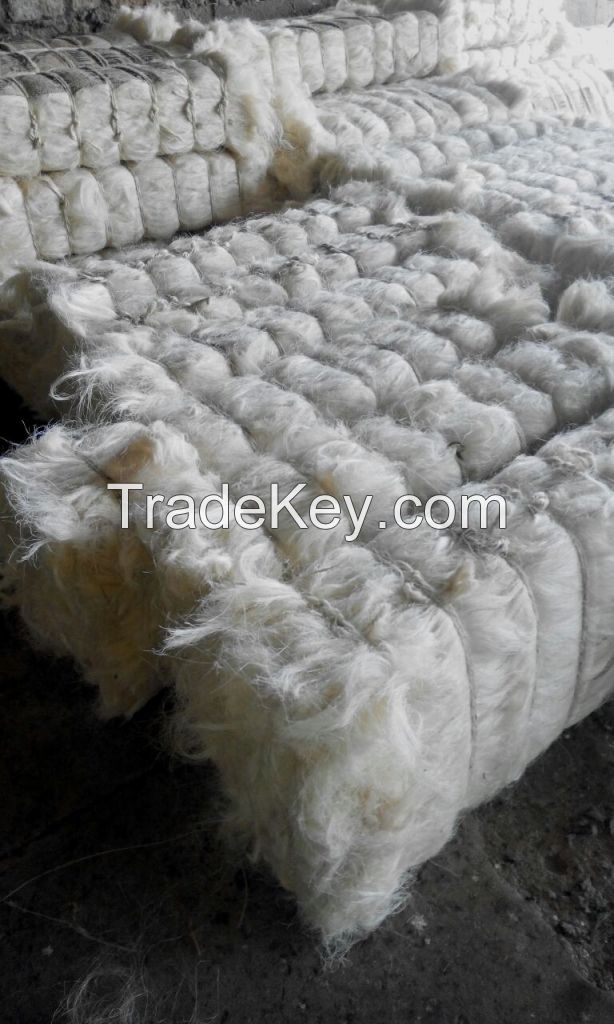 Sisal Fiber