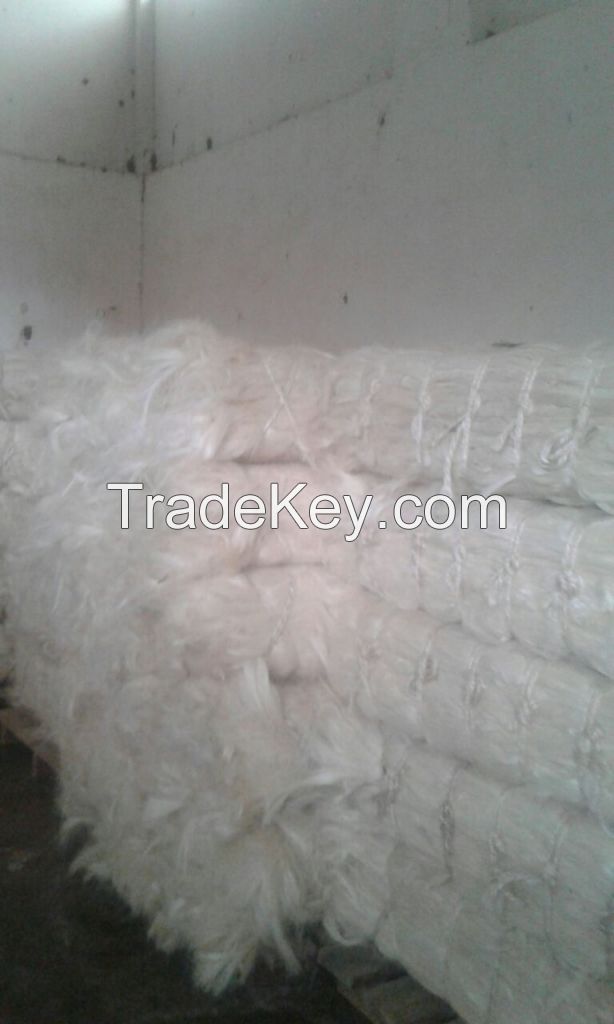 Sisal Fiber